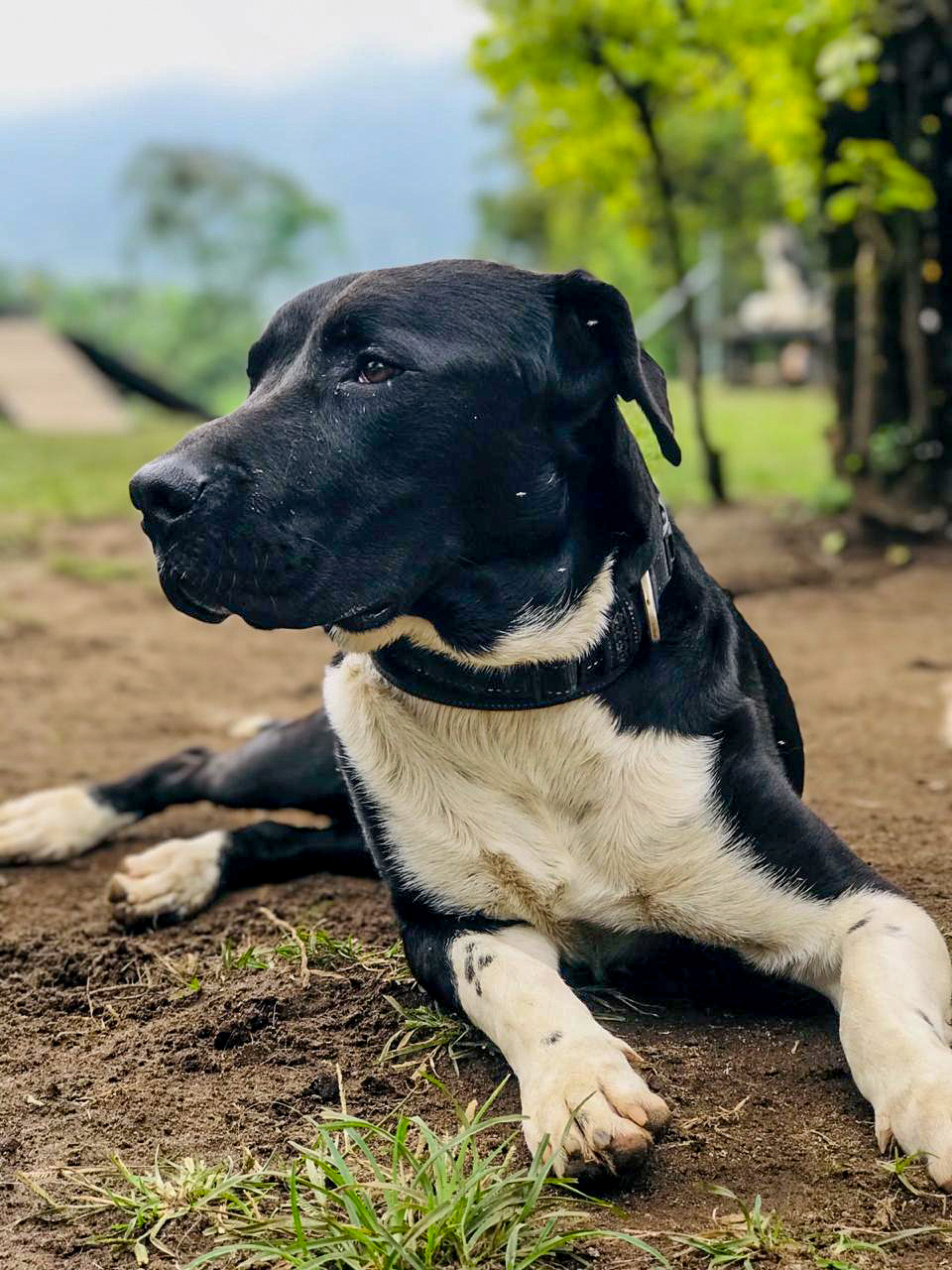 LOKI